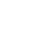 Data Robot partner